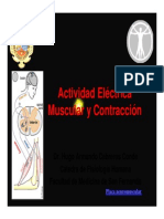 Actividad Eléctrica Muscular y Contracción - Pps (Modo de Compatibilidad) PDF