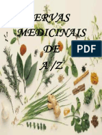 ervasmedicinaistrab-grupo-110329163851-phpapp01.docx