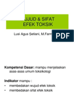 Wujud & Sifat Efek Toksik