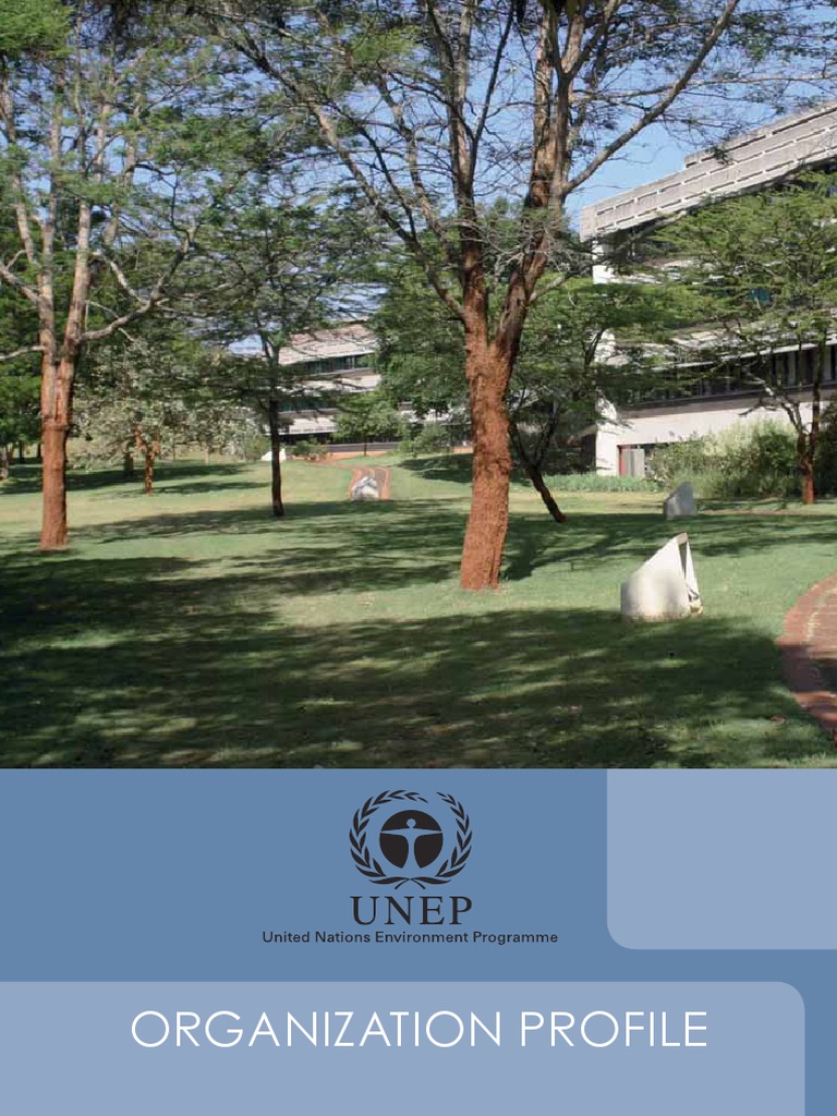 UNEP Organizational Structure Overview | PDF | United Nations ...
