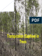 Transpiration Sap Flow in Trees