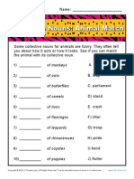 Collective Nouns Animal Match