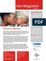 formulacion excelente.pdf