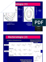 14_Bacter-10-Oct-11.pdf