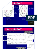 14 - Bacter 10 Oct 11 PDF