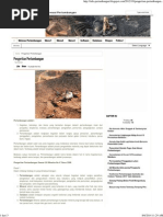 Download Pengertian Pertambangan _ Pertambanganpdf by DanyWes SN242782315 doc pdf