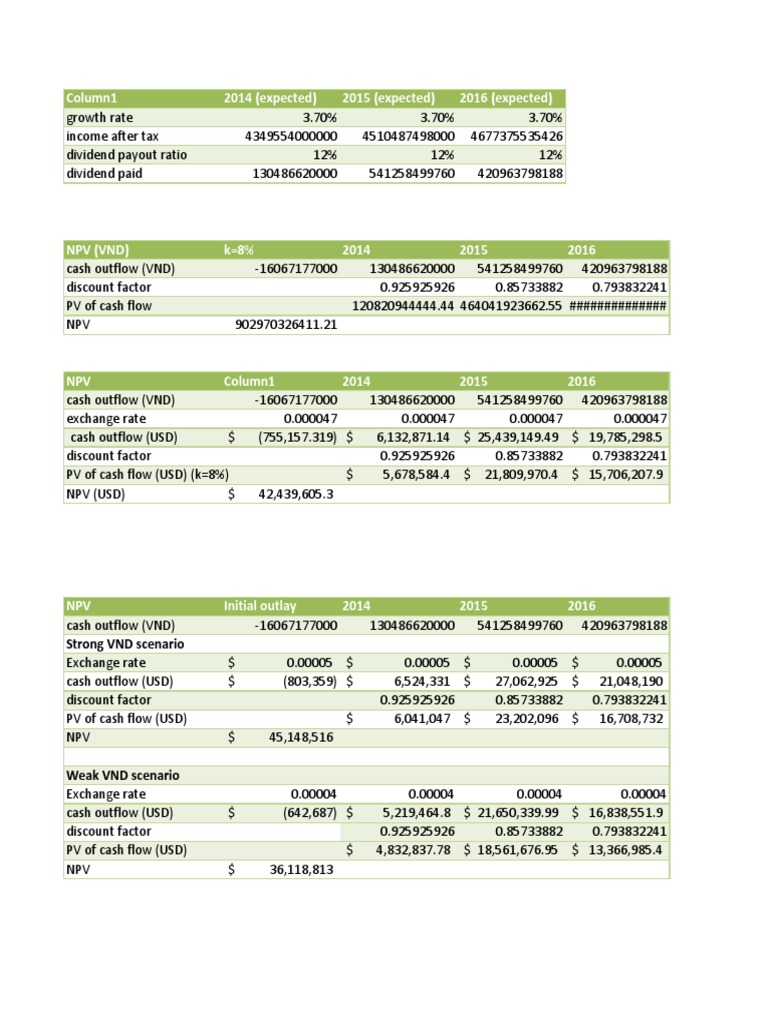 NPV Analysis for VND/USD Cash Flows | PDF