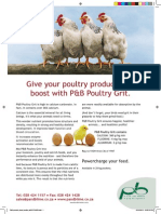 Poultry Grit - rich source of calcium