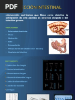 Escala de Bromage | PDF