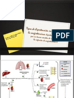 Tipos de hipertensión.pptx