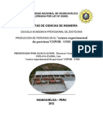 Universidad Nacional de Huancavelica (Informe de Practicas Pre)