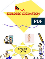1.biology Oxidation