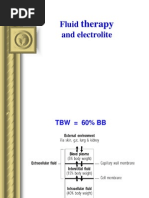 Fluid Therapy and Electrolite