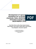 Development of Lignocellulose Biorefinery For Co-Production of Chemicals, Fuels, Electricity and Heat Overview & Results of The IP Biosynergy (Fp6)