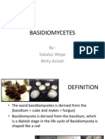 Basidiomycetes: By: Sakalus Wepe Binty Azizah