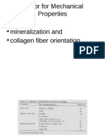 Factor For Mechanical Properties Porosity, Mineralization and Collagen Fiber Orientation