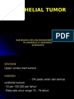 Urothelial Tumor: Sub Bagian Urologi Bagian/Smf Bedah FK Uns/Rsud Dr. Moewardi Surakarta