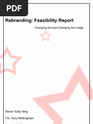Feasibility Report