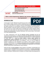 Informe I - La Cultura Organizacional, Concepto, Tipos, Funciones y Diferencia Con El Clima Organizacional