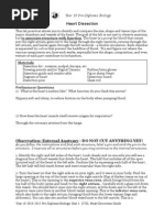 Download 242074407 Heart Dissection Lab Report Guide by elorenzana0511 SN242842991 doc pdf