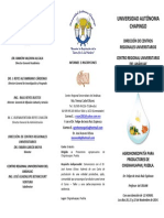 Chignahuapan PDF