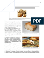Agua en El Proceso Del Pan PDF
