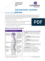 The Central Nervous System and Lymphoma