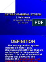 Extrapyramidal System