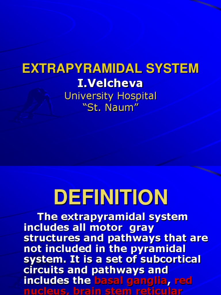 EXTRAPYRAMIDAL SYSTEM.ppt Striatum Basal Ganglia