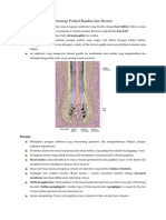 Histologi Folikel Rambut Dan Dermis