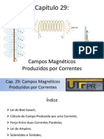 Cap 29 - Campos Magneticos Produzidos Por Correntes PDF