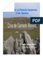 Cria de ganado Bovino Prod Carne.pdf