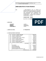 RESUMEN EJECUTIVO LLAMPA.doc