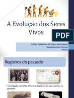 A Evolução Dos Seres Vivos