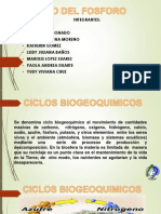 Ciclo Del Fosforo Diapositivas Biologia 2