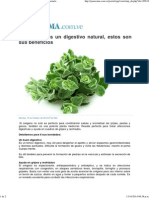 Salud - El oregano es un digestivo natural.pdf