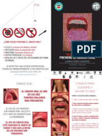 Triptico Saca La Lengua PDF