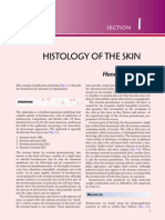 The Skin.pdf