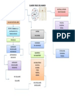 Cuadro Fisico Del Mundo