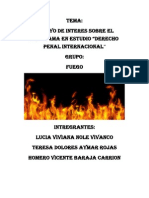 Derecho Penal Internacional PDF