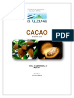 Cacao PDF