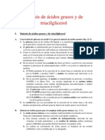 Sintesis de Acidos Grasos y de Triacilglicerol