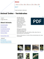 Vertebrates - Animals With Backbones