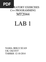 C++ Laboratory Exercise