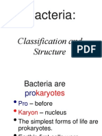 Bacteria Classification and Structure