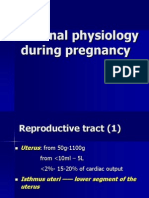 Maternal Physiology During Pregnancy