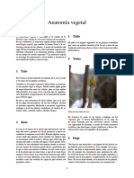 Anatomía Vegetal PDF