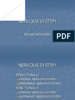 Nervous System: Ahmad Aminuddin