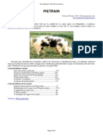 05 Pietrain PDF
