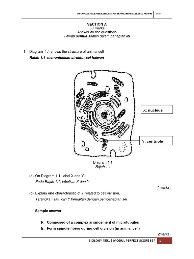 Biology SPM Trial papers - SPM - Free SPM Tips 2020 by 